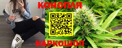 a pvp Будённовск