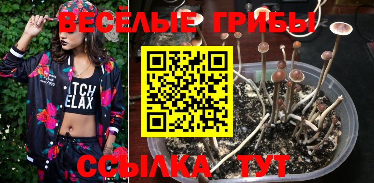 Крымск  Галлюциногенные грибы Magic Shrooms  Вход с VPN 
